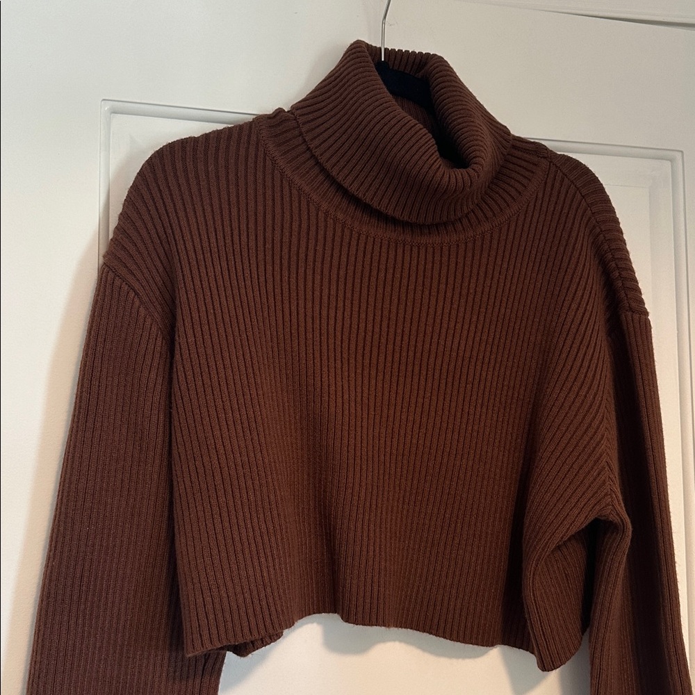 Brown Turtleneck Sweater